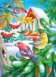 Winter Birds | Obraz na stenu