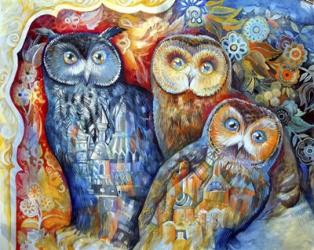 Owls | Obraz na stenu