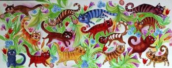 Magic Cats | Obraz na stenu