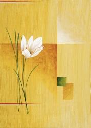 White Bloom 2 | Obraz na stenu