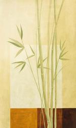 Reeds 2 | Obraz na stenu