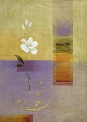 White Flower on Lilac and Yellow 1 | Obraz na stenu