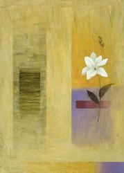 White Flower on Lilac and Yellow 2 | Obraz na stenu