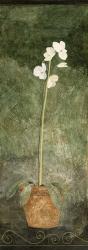 White Potted Flower | Obraz na stenu
