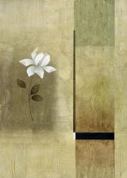 White Flowers on Taupe 2 | Obraz na stenu