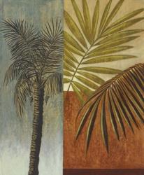 Palm Leaves I | Obraz na stenu