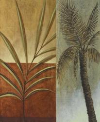 Palm Leaves II | Obraz na stenu