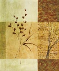 Wheat I | Obraz na stenu