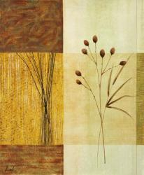 Wheat II | Obraz na stenu