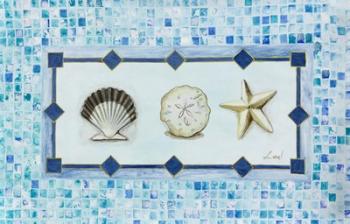 Sea Shell Trio | Obraz na stenu
