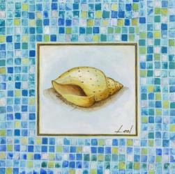 Conch | Obraz na stenu
