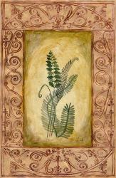 Decorative Ferns I | Obraz na stenu