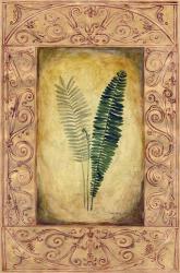 Decorative Ferns II | Obraz na stenu