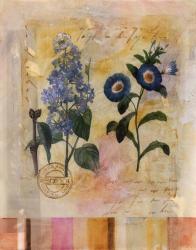 Floral Postcard II | Obraz na stenu
