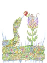 Mouse Pocket Snake | Obraz na stenu