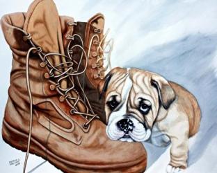 Boots Bulldog | Obraz na stenu