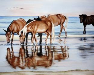 Horses On Beach | Obraz na stenu