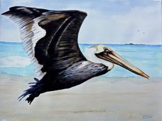Large Pelican | Obraz na stenu