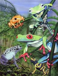 Tree Frogs | Obraz na stenu