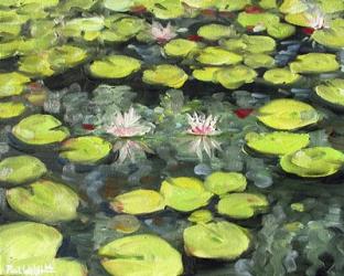 Lilly Pond | Obraz na stenu