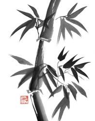 Bamboo 1 | Obraz na stenu