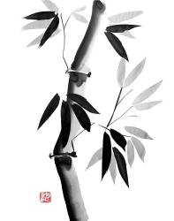 Bamboo 2 | Obraz na stenu