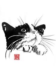 Begging Cat | Obraz na stenu