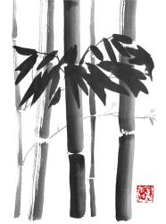 Bamboo Bouquet | Obraz na stenu
