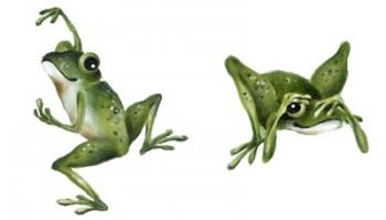 April Showers - Frogs | Obraz na stenu
