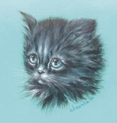Black Kitten - 23A | Obraz na stenu