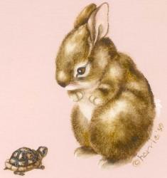 Bunny And Turtle | Obraz na stenu