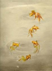 Glittering Goldfish | Obraz na stenu