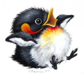 Let It Snow - Penguin | Obraz na stenu