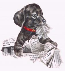 Newspaper Pup - 13A | Obraz na stenu