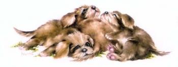 Puppy Pile | Obraz na stenu