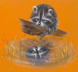 Reflective Racoon - 35A | Obraz na stenu