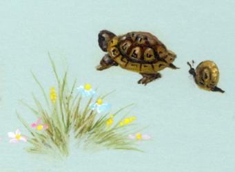 Spring Fling - Trutle And Snail | Obraz na stenu