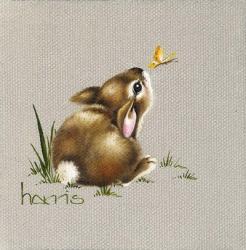 Tiny Bunny | Obraz na stenu