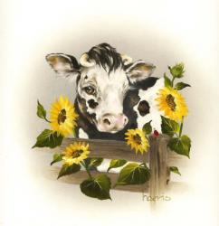Cow & Sunflowers | Obraz na stenu