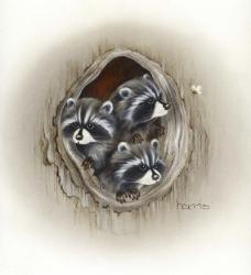 Raccoons In Hole | Obraz na stenu