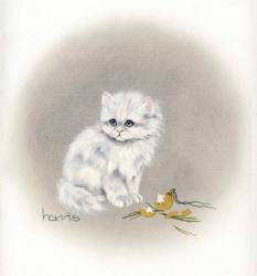 White Kitty (Ornament) | Obraz na stenu