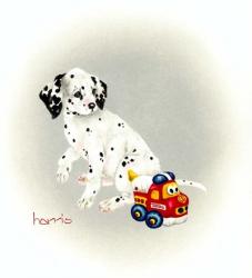 Dalmation 1 - Puppy Truck | Obraz na stenu