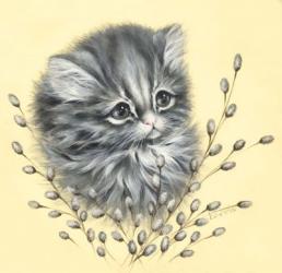 Precious Kitty | Obraz na stenu