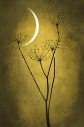 Yellow Crescent Moon | Obraz na stenu