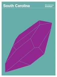 Montague State Posters - South Carolina | Obraz na stenu