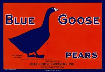 Blue Goose Pears | Obraz na stenu