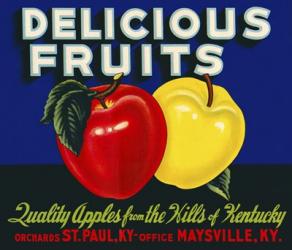 Delicious Fruits | Obraz na stenu