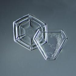 Hexagonal and Triangular Plate Snowflakes 005.2.9.2014 | Obraz na stenu