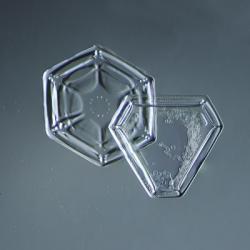 Hexagonal and Triangular Plate Snowflakes 005.2.9.2014 | Obraz na stenu
