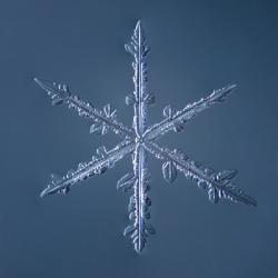 Simple Star Snowflake 002.2.16 | Obraz na stenu